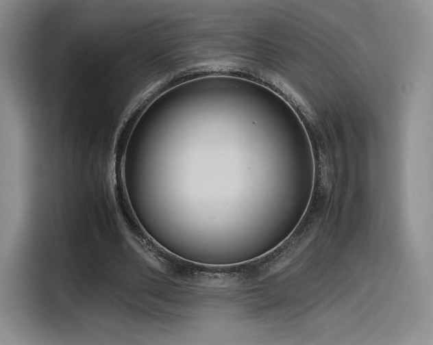 X0000116120486200911231218