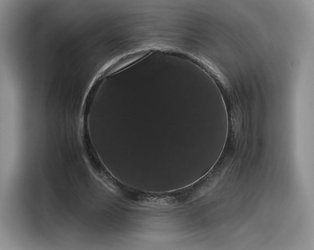 X0000116120488200911231218