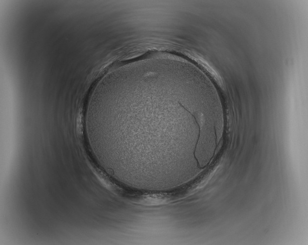 X0000116120489200911231218