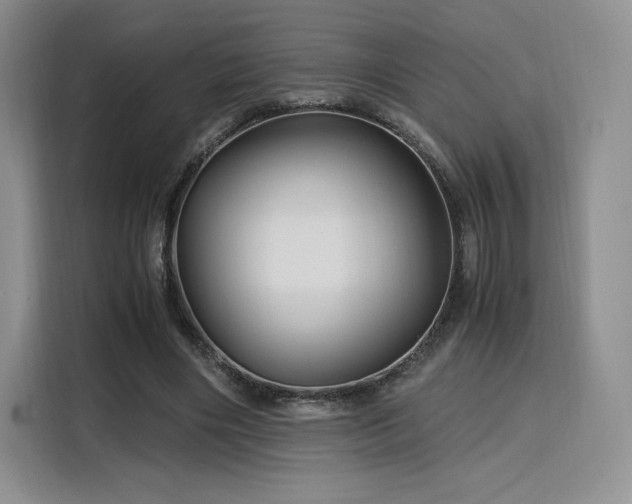 X0000116120490200911231218