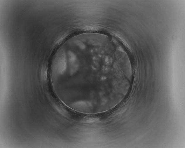 X0000116120491200911231218