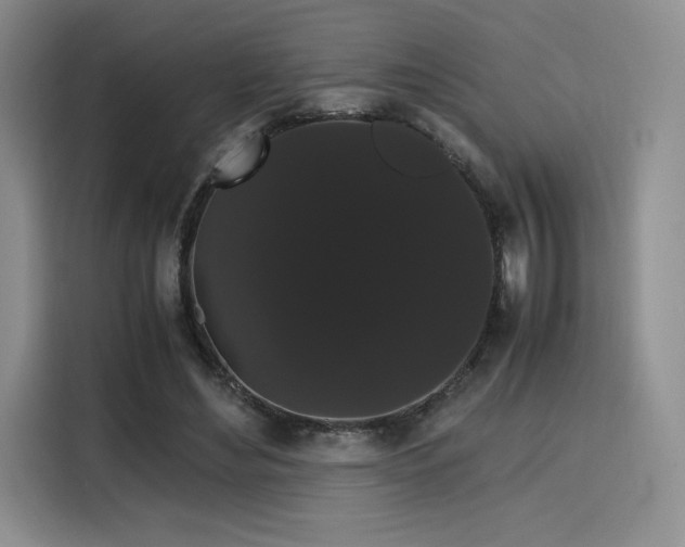 X0000116120492200911231218