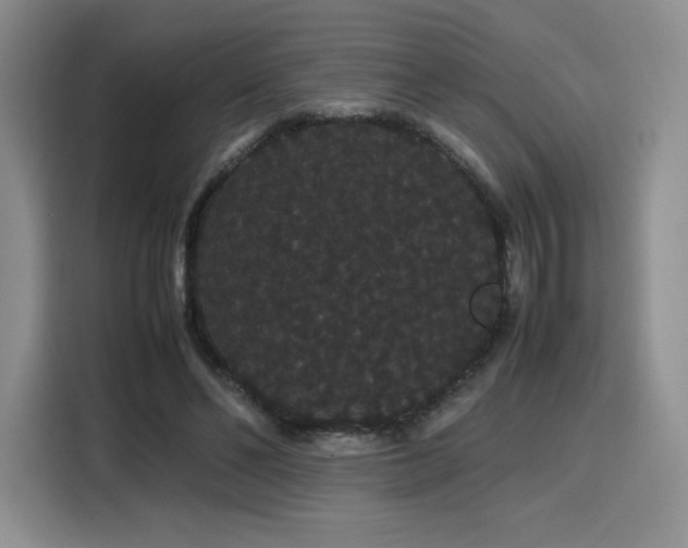 X0000116120494200911231218