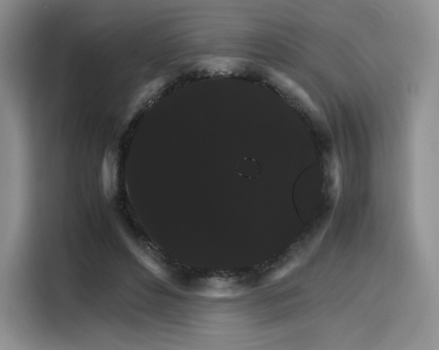 X0000116120496200911231218