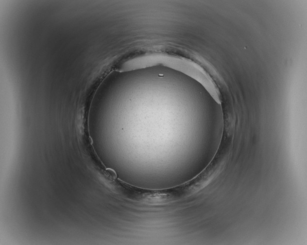 X0000116120497200911231218