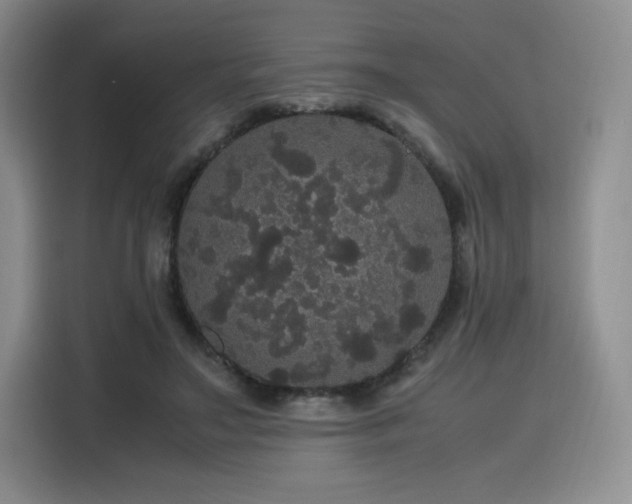 X0000116120499200911231218