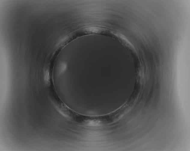 X0000116120500200911231218