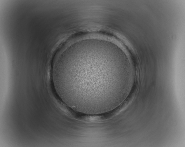 X0000116120501200911231218