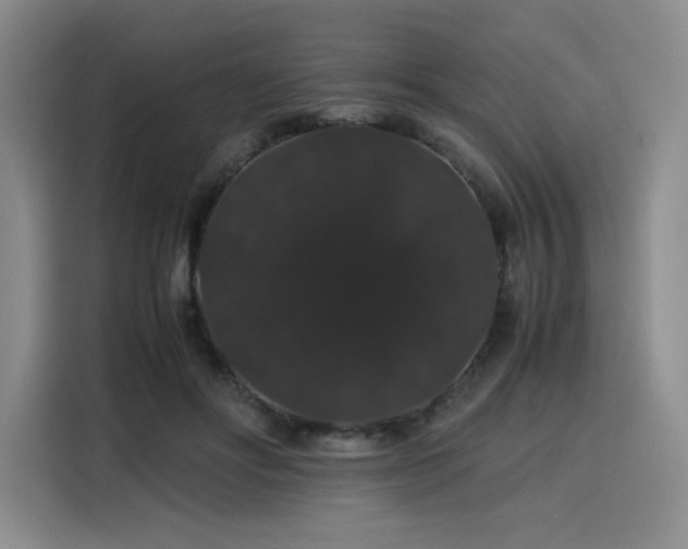 X0000116120502200911231218