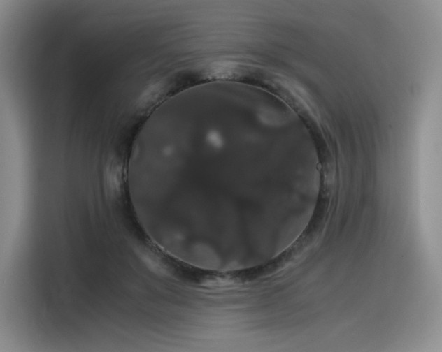 X0000116120503200911231218