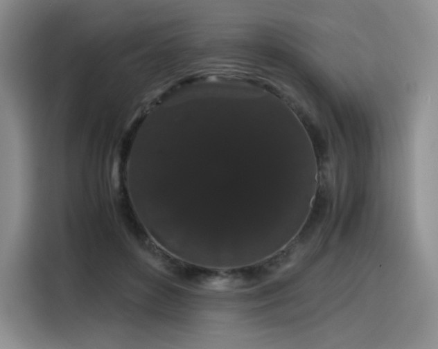 X0000116120504200911231218