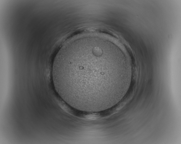 X0000116120505200911231218