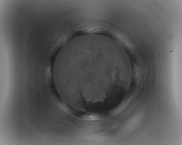 X0000116120506200911231218