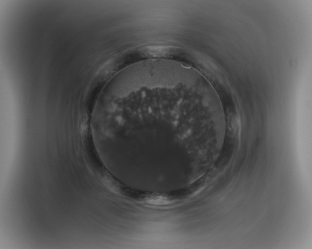 X0000116120507200911231218