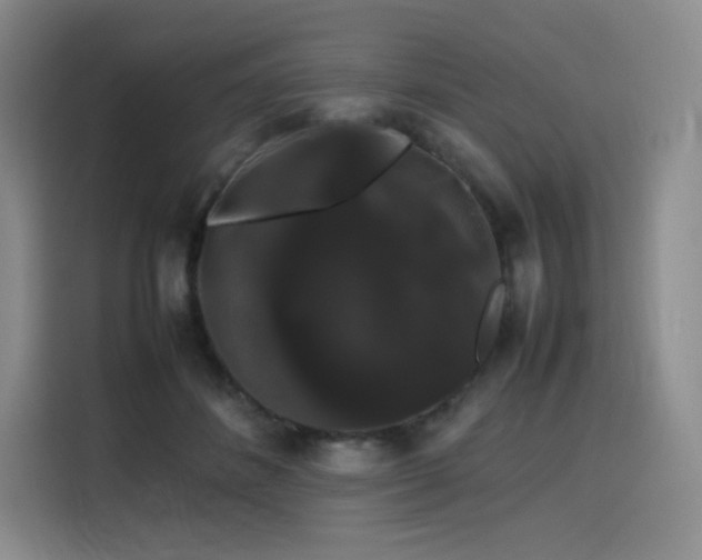 X0000116120508200911231218