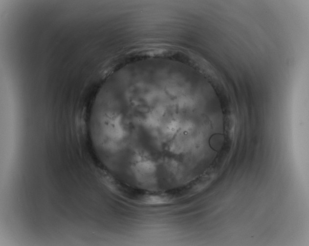 X0000116120510200911231218