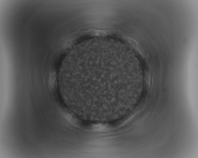 X0000116120511200911231218