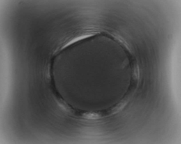 X0000116120512200911231218