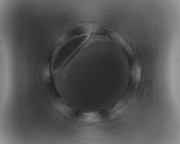 X0000116120516200911231218