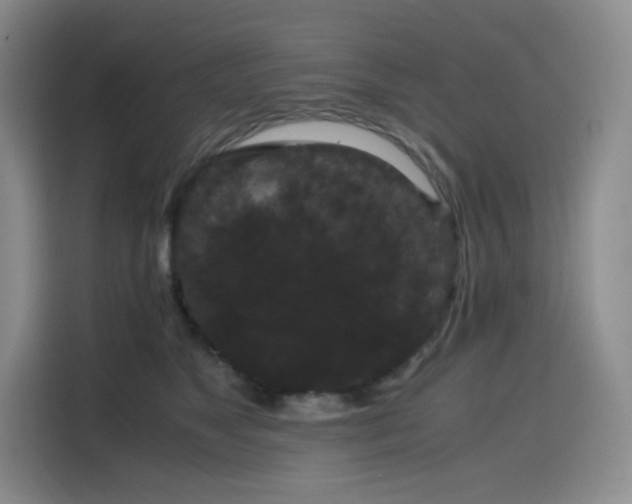 X0000116120517200911231218