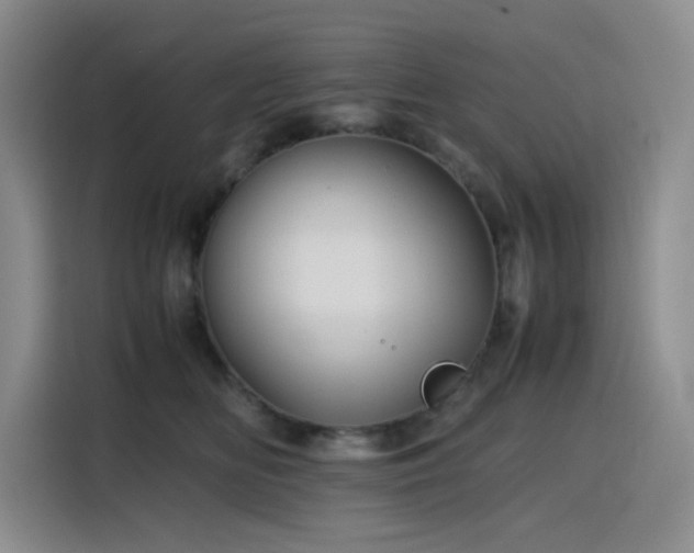 X0000116120518200911231218