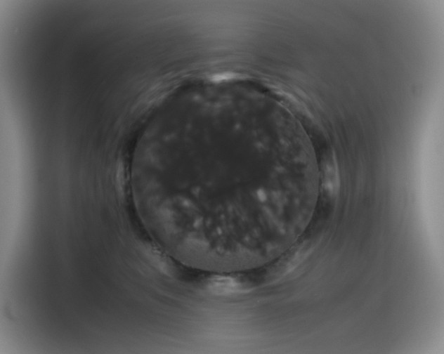 X0000116120519200911231218