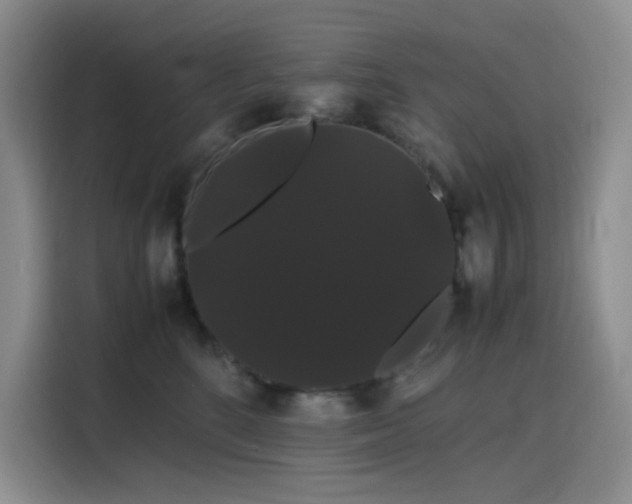 X0000116120520200911231218