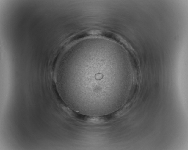 X0000116120521200911231218