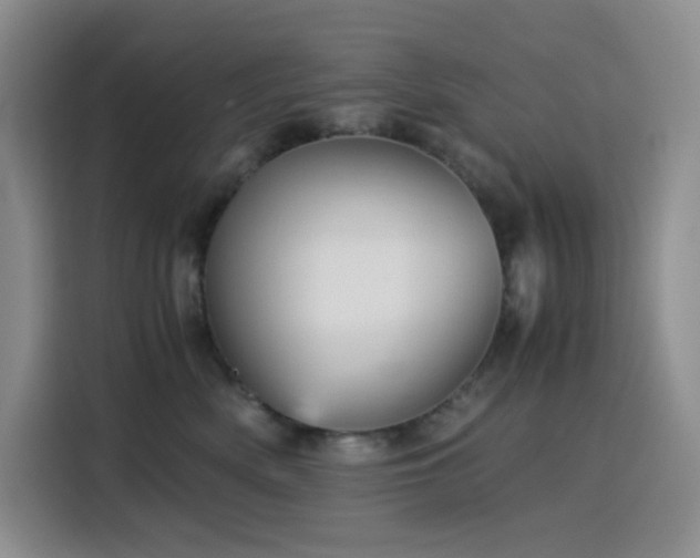 X0000116120522200911231218