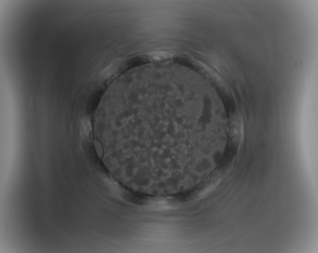 X0000116120523200911231218