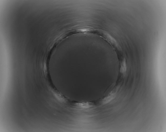 X0000116120524200911231218