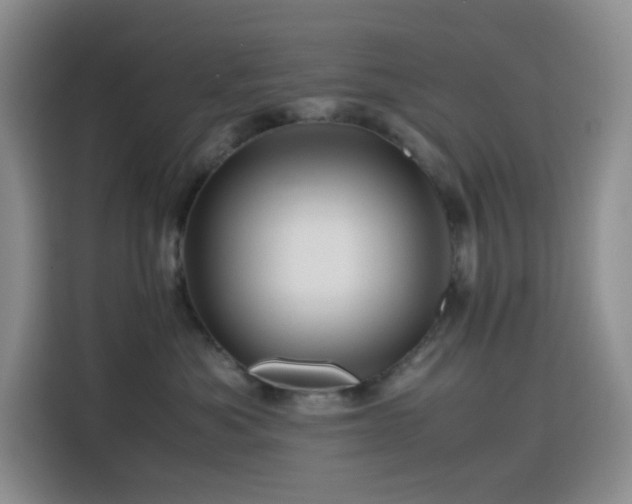 X0000116120525200911231217