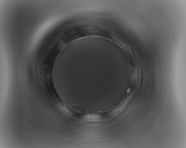 X0000116120526200911231217