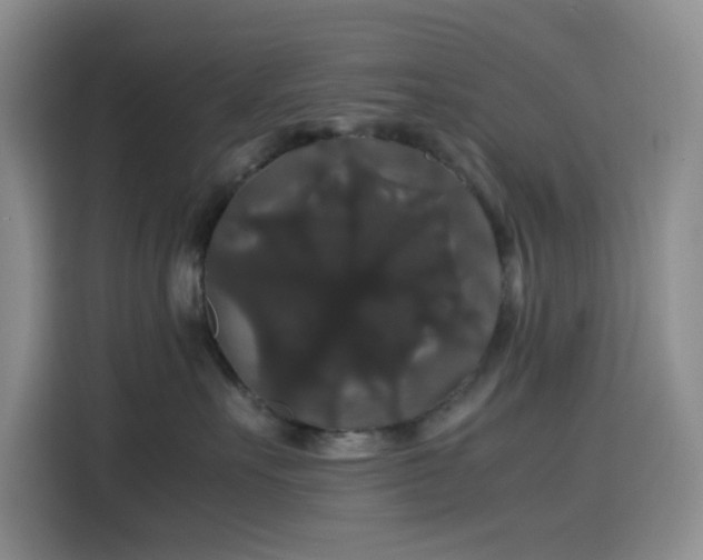 X0000116120527200911231217