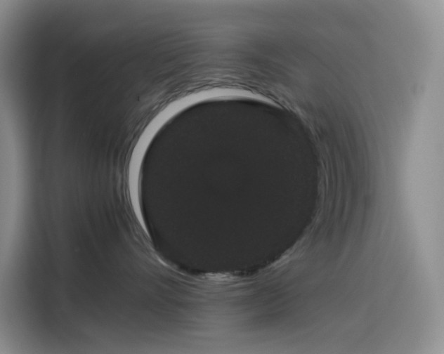 X0000116120528200911231217