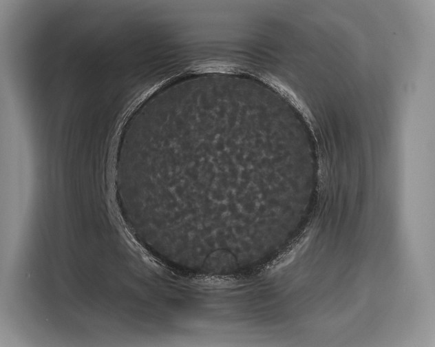 X0000116120529200911231217