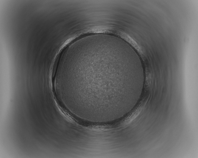 X0000116120530200911231217