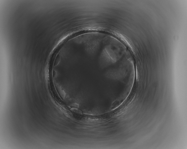 X0000116120531200911231217