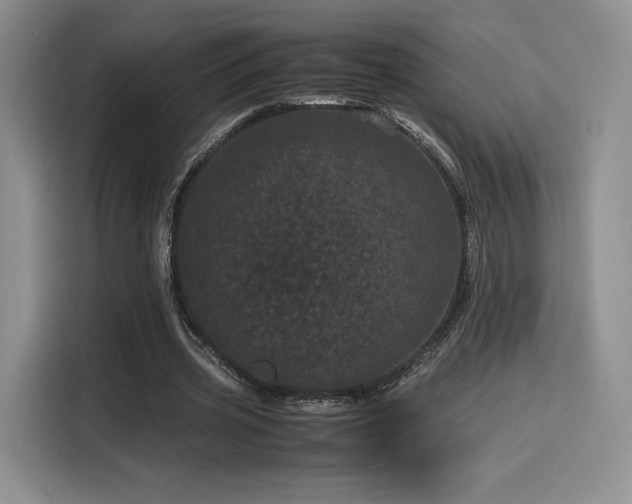 X0000116120533200911231217