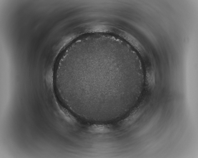 X0000116120534200911231217