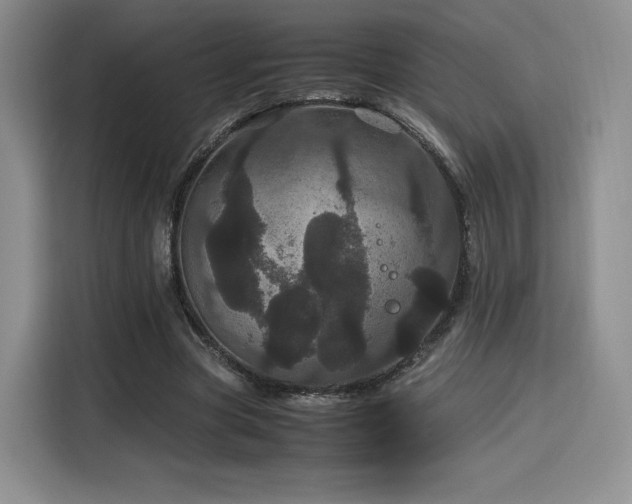 X0000116120537200911231217