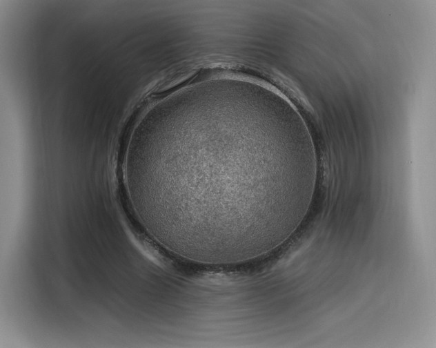 X0000116120538200911231217