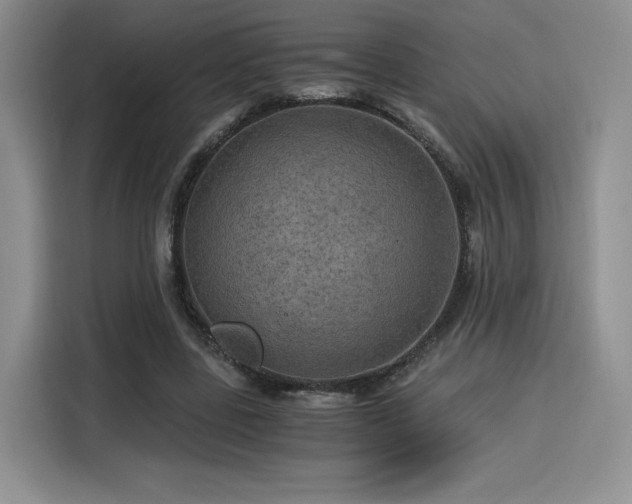 X0000116120539200911231217