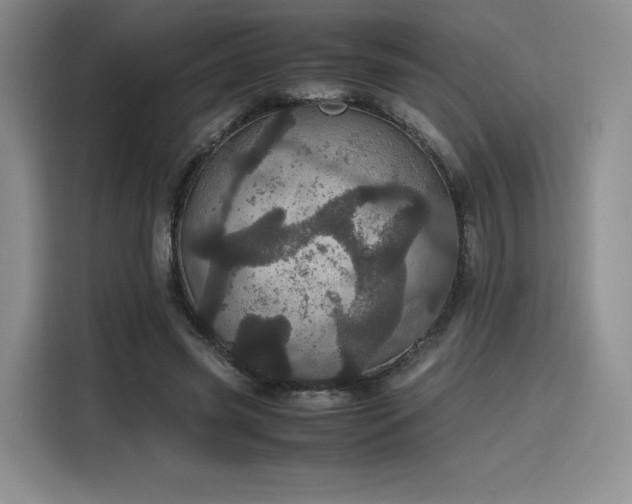 X0000116120541200911231217