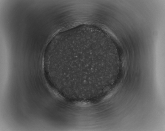 X0000116120542200911231217