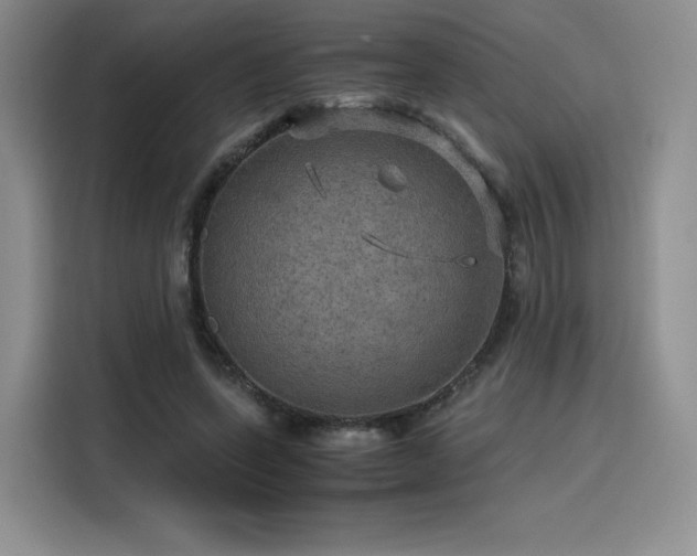 X0000116120543200911231217