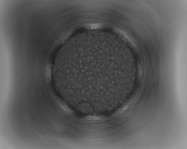 X0000116120545200911231217