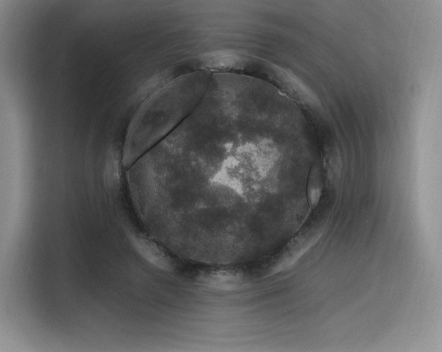 X0000116120546200911231217