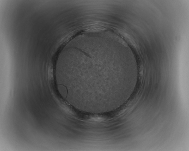 X0000116120547200911231217