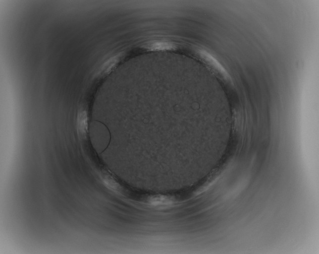 X0000116120549200911231217